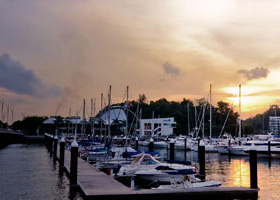 cc攻击免费网页版