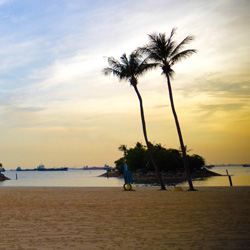 ddos攻击器安卓ios下载